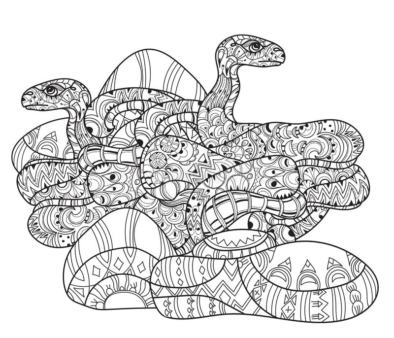 Flower anaconda coloring book
